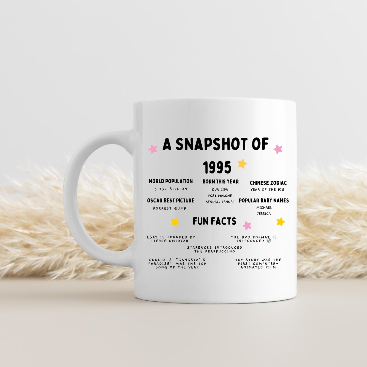 30th Birthday Mug, 1995 birthday gift, 30th birthday facts