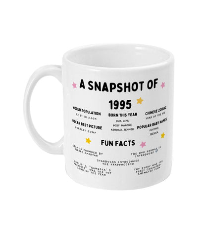 30th Birthday Mug, 1995 birthday gift, 30th birthday facts